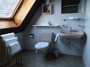 La salle de bains est pourvue de toilettes et d'un lavabo. dans l'établissement Gasthaus Friedegg, à Wildhaus