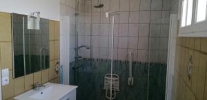 łazienka z prysznicem i umywalką w obiekcie Chambre parquet flottant chez l'habitant w mieście Saint-Corneille