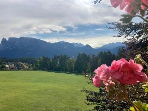 ein Feld mit rosa Blumen und Bergen im Hintergrund in der Unterkunft Wiesenhof in Klobenstein