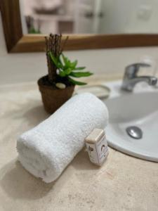 a roll of toilet paper on a bathroom sink at Casa Grande Hotel Restaurant in Las Terrenas