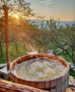 une grande baignoire en bois remplie d'eau dans un champ dans l'établissement Casutele din Livada, à Corbi