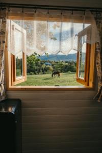 un caballo parado en un campo visto a través de una ventana en Chata u lesa RANCH NA HRANICI, en Baška