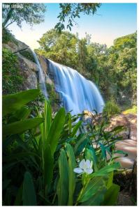 uma cascata com uma flor branca à sua frente em Chalés Pedacim du Céu em Bueno Brandão