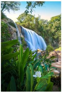 a waterfall with a white flower in front of it at Chalés Pedacim du Céu in Bueno Brandão