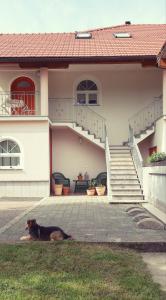 ein Hund, der auf dem Gras vor einem Haus liegt in der Unterkunft Prenočišča Angelin hram, Tiny Apartments in Markovec