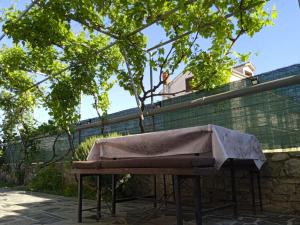 a bench sitting on a sidewalk under a tree at Apartman Josipa in Peroj