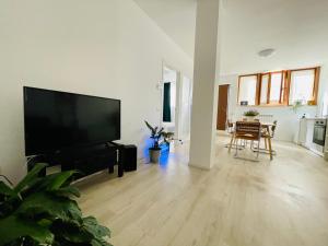uma sala de estar com uma grande televisão de ecrã plano em I Cavour 108 em Porto SantʼElpidio