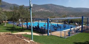 a group of people in a swimming pool at צימורן in Moran