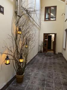 a hallway with two lights and a plant in a pot at Відпочинковий комплекс,міні готель Старий дворик in Lviv