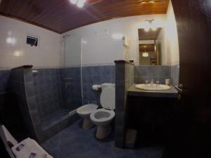 a bathroom with a toilet and a sink and a shower at Hospedaje Mi Rincón El Chaltén in El Chalten