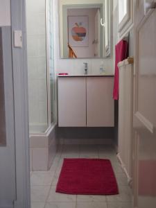 a bathroom with a sink and a red rug at Le Fontana in Nice +31 photos