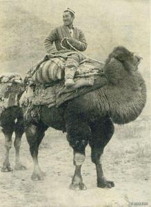 a man sitting on the back of a camel at Kyzart Guesthouse in Bagysh