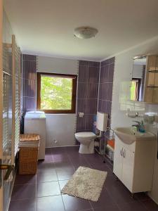 a bathroom with a sink and a toilet and a window at Holiday Guest House in Odorheiu Secuiesc