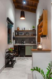 een keuken met een wastafel en een aanrecht in een kamer bij LOFT LUZ in Santo Antônio do Pinhal