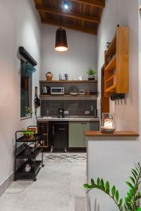 Una cocina con fregadero y encimera en una habitación. en LOFT LUZ, en Santo Antônio do Pinhal