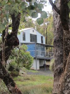 a house in the middle of a forest at Hidden Grove Retreat in Boyup Brook