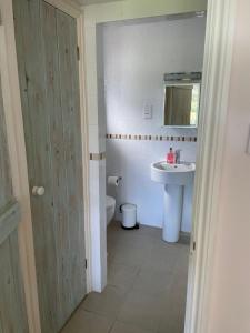 a bathroom with a sink and a toilet at Cliff top Garden room in Milford on Sea