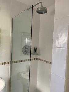 a glass shower in a bathroom with a sink at Cliff top Garden room in Milford on Sea