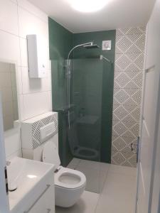 uma casa de banho com um WC e uma cabina de duche em vidro. em Cztery Pory Roku em Goldap