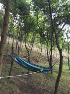 a hammock tied to trees in a forest at Velin raj in Soko Banja