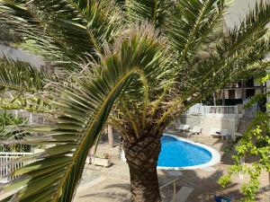 The swimming pool at or close to Sunset chill out