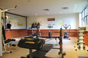 Fitness centrum a/nebo fitness zařízení v ubytování The Maple Suite
