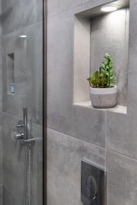 a bathroom with a shower with a potted plant on a shelf at chris apartement in Nydri