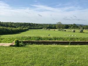 een veld van groen gras met schapen in de verte bij Marehay Hall Farm in Belper