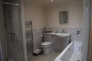 La salle de bains est pourvue de toilettes, d'un lavabo et d'une douche. dans l'établissement Sandhurst Farm Forge Self Catering Stableblock, à Sittingbourne