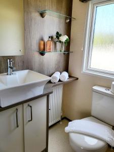 een badkamer met een wastafel, een toilet en een raam bij Luxury Woodland Retreat Holiday Home - Shorefield Country Park in Downton