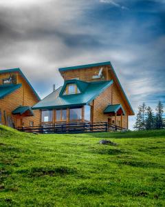 a large wooden house on a grassy hill at Mountain House AMI in Žabljak