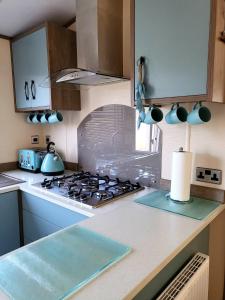 een keuken met een kookplaat en een oven bij Luxury Woodland Retreat Holiday Home - Shorefield Country Park in Downton