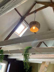 a light hanging from a ceiling with a plant at De Wabisabiboerderij in Oedelem