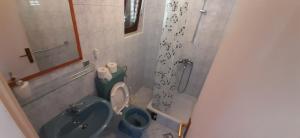 a small bathroom with a toilet and a sink at Apartment Antea in Tučepi +7 photos