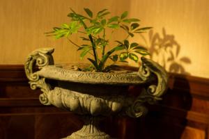 a stone vase with a plant in it at Dukes Hotel Nakasu in Fukuoka