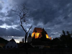 un bâtiment éclairé la nuit avec un arbre dans l'établissement Casa Eva Wagner - Biertan, à Biertan