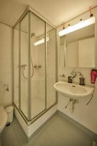 y baño con ducha acristalada y lavamanos. en Stay Switzerland Apartments, en Interlaken
