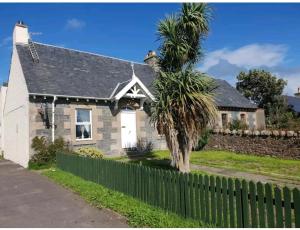 a house with a palm tree in front of it at Spacious rural cottage outside Campbeltown in Campbeltown