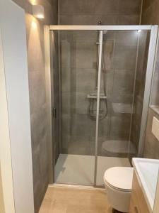 La salle de bains est pourvue d'une douche avec une porte en verre. dans l'établissement Studio Ascot, à Ostende
