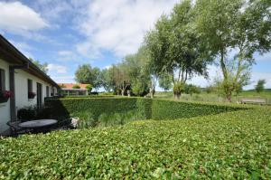 Zahrada ubytování B&B Knotwilgenhoeve + 16 fotografií