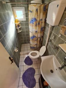 Apartman Koja的一间浴室