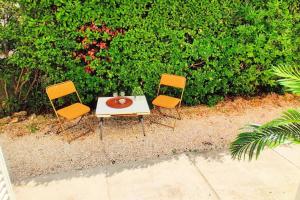 Zahrada ubytování Appartement Esprit Vintage entre Plages et Mourillon