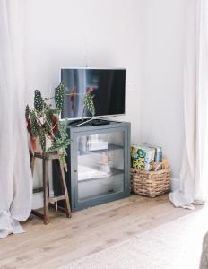 a flat screen tv sitting on top of a entertainment center at Field View Lodge in Niton