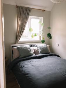 a bedroom with a bed in front of a window at Field View Lodge in Niton