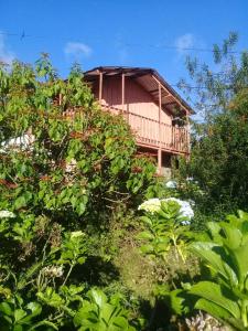 dom na szczycie wzgórza z drzewami w obiekcie Finca Fuente de Vida w mieście Estelí
