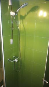y baño verde con ducha con cabezal de ducha. en HomeHostel, en Varsovia