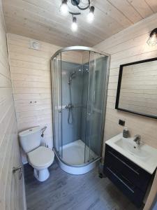 a bathroom with a shower and a toilet and a sink at Domki letniskowe u Krzysia in Jastrzębia Góra