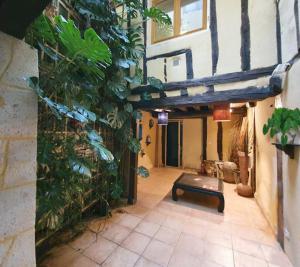 un jardin intérieur avec un banc dans un bâtiment dans l'établissement Gîtes Elusate, à Eauze