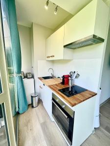 une petite cuisine avec un évier et une cuisinière dans l'établissement STUDIO PALM BEACH CANNES, à Cannes