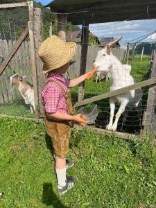 a young boy feeding a carrot to a goat at Charmantes Ferienhaus in bester Lage in Keutschach am See